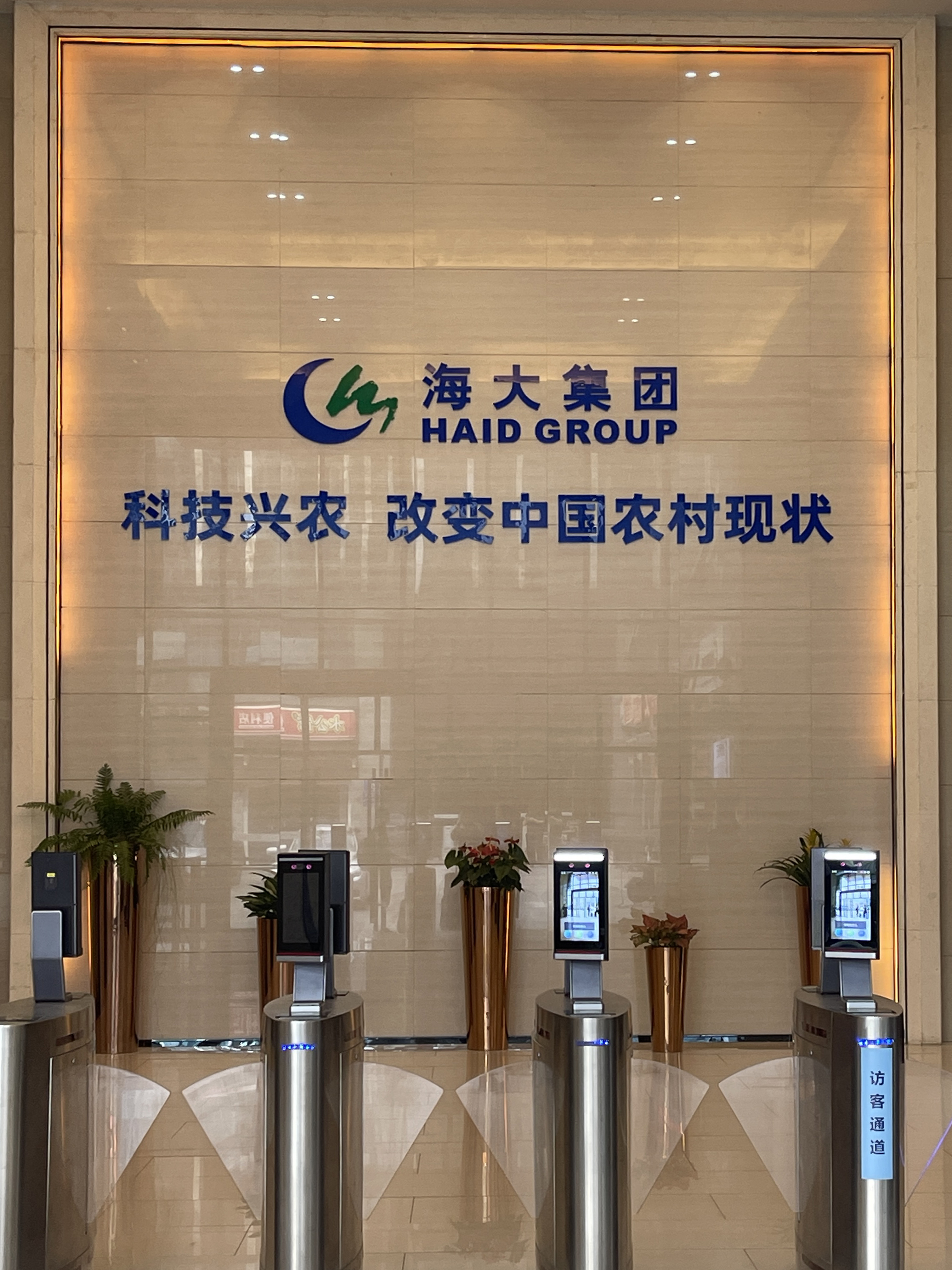 98a44786-9c1d-4aff-be00-c9d1bcb0afba.jpg